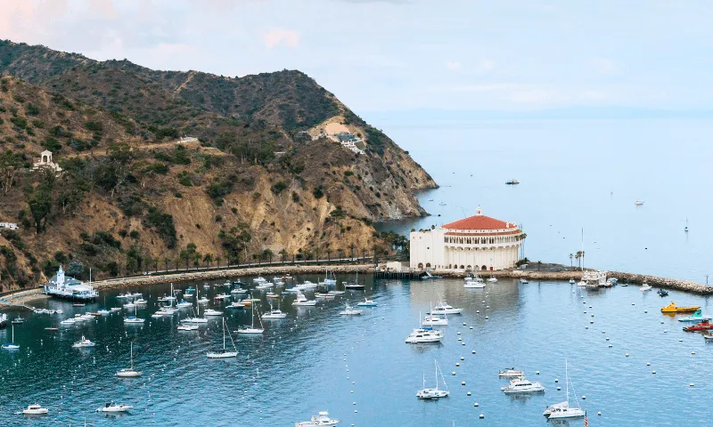 3-Day Catalina Experience