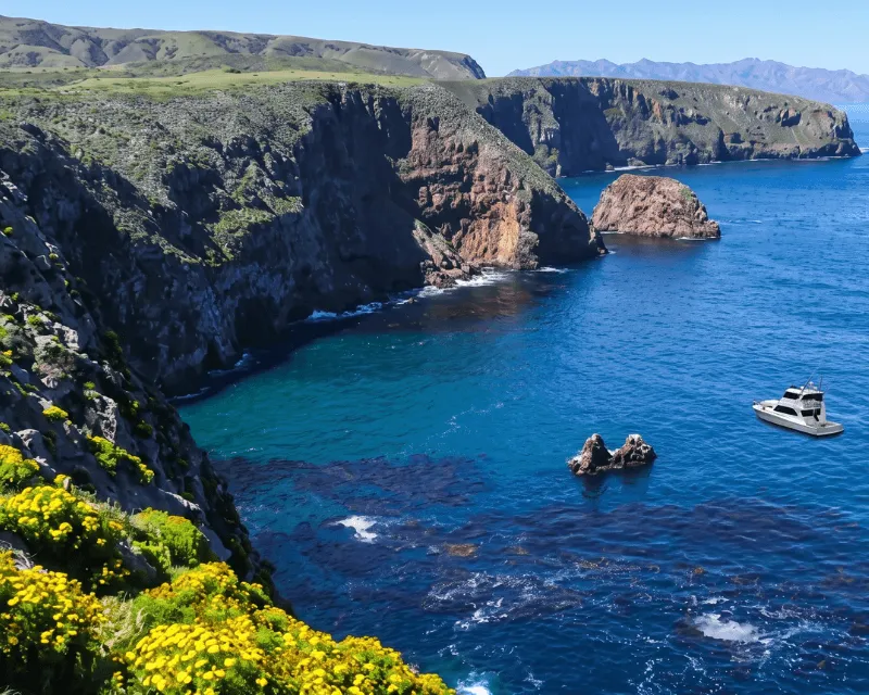 8-Hour Santa Cruz Island Eco-Tour