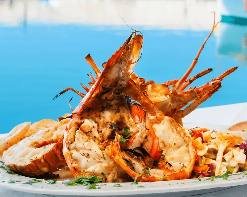 Catch-and-Cook Cruise