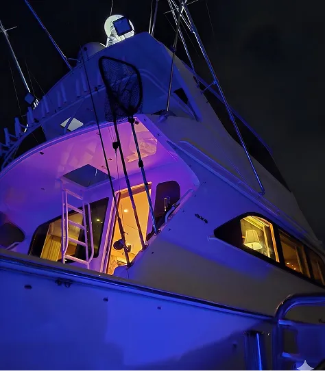 Luxury yacht California