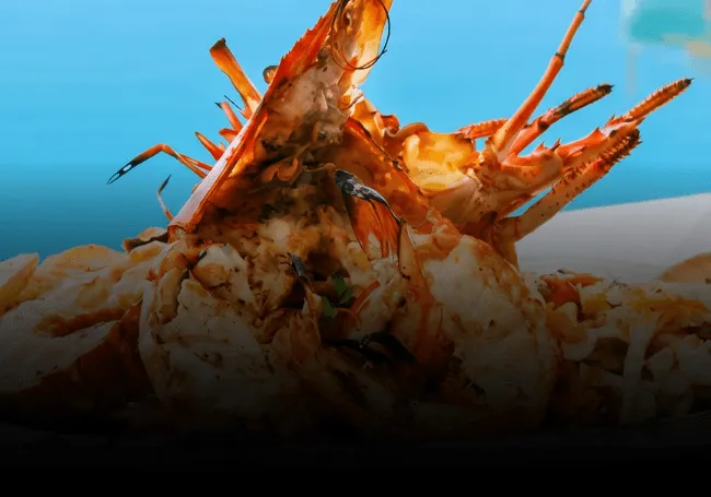 Catch-and-cook cruise