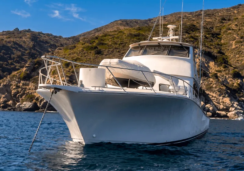 Luxury Boat Charter