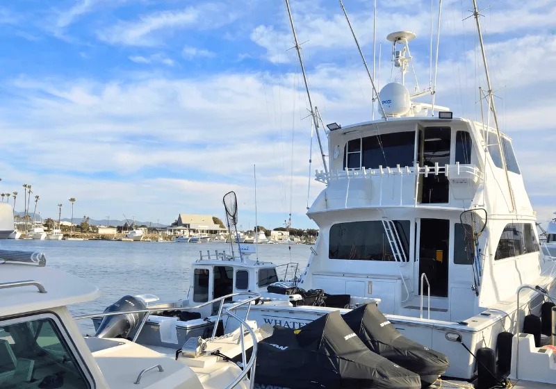 One-hour Harbor cruise