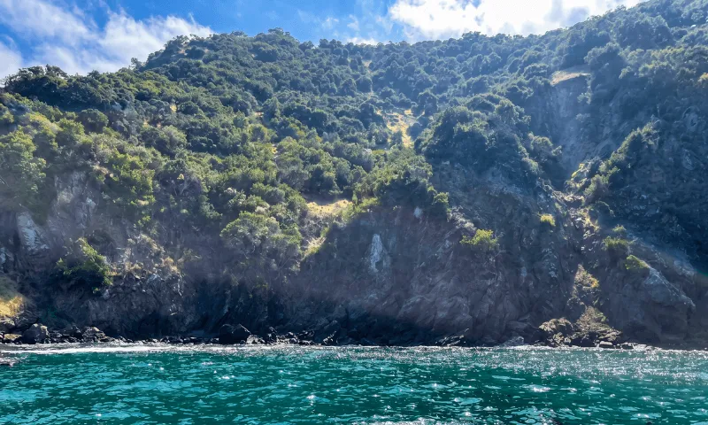 Channel islands harbor