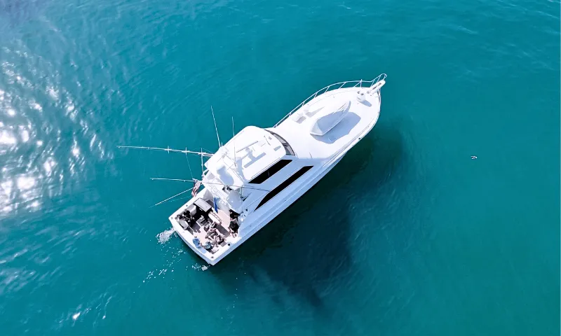 Exclusive yacht cruise
