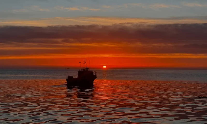 Sunset harbour