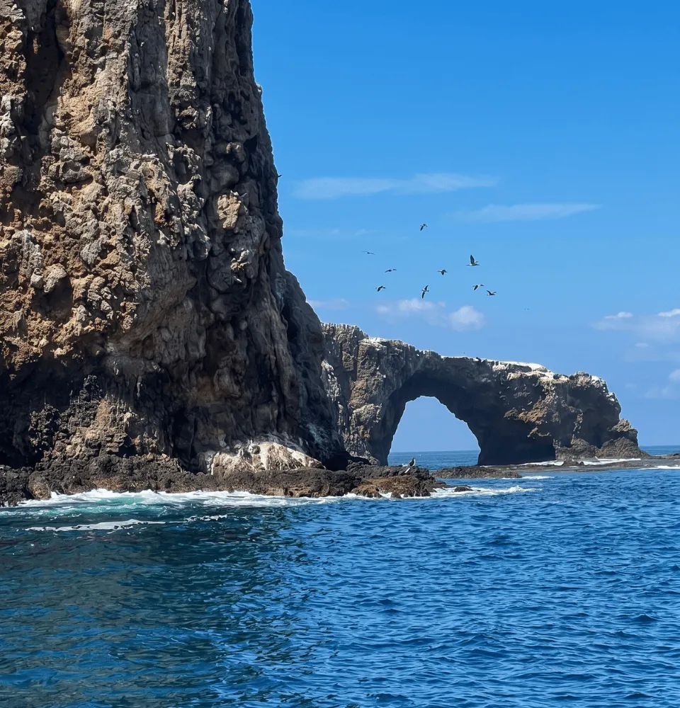 California's galapagos