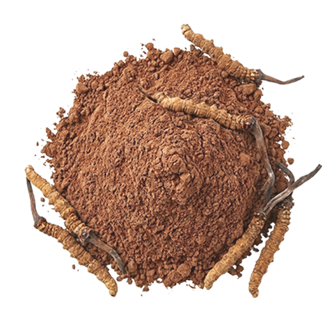 CordycepsPrime raw powder ·  ETS. 1997