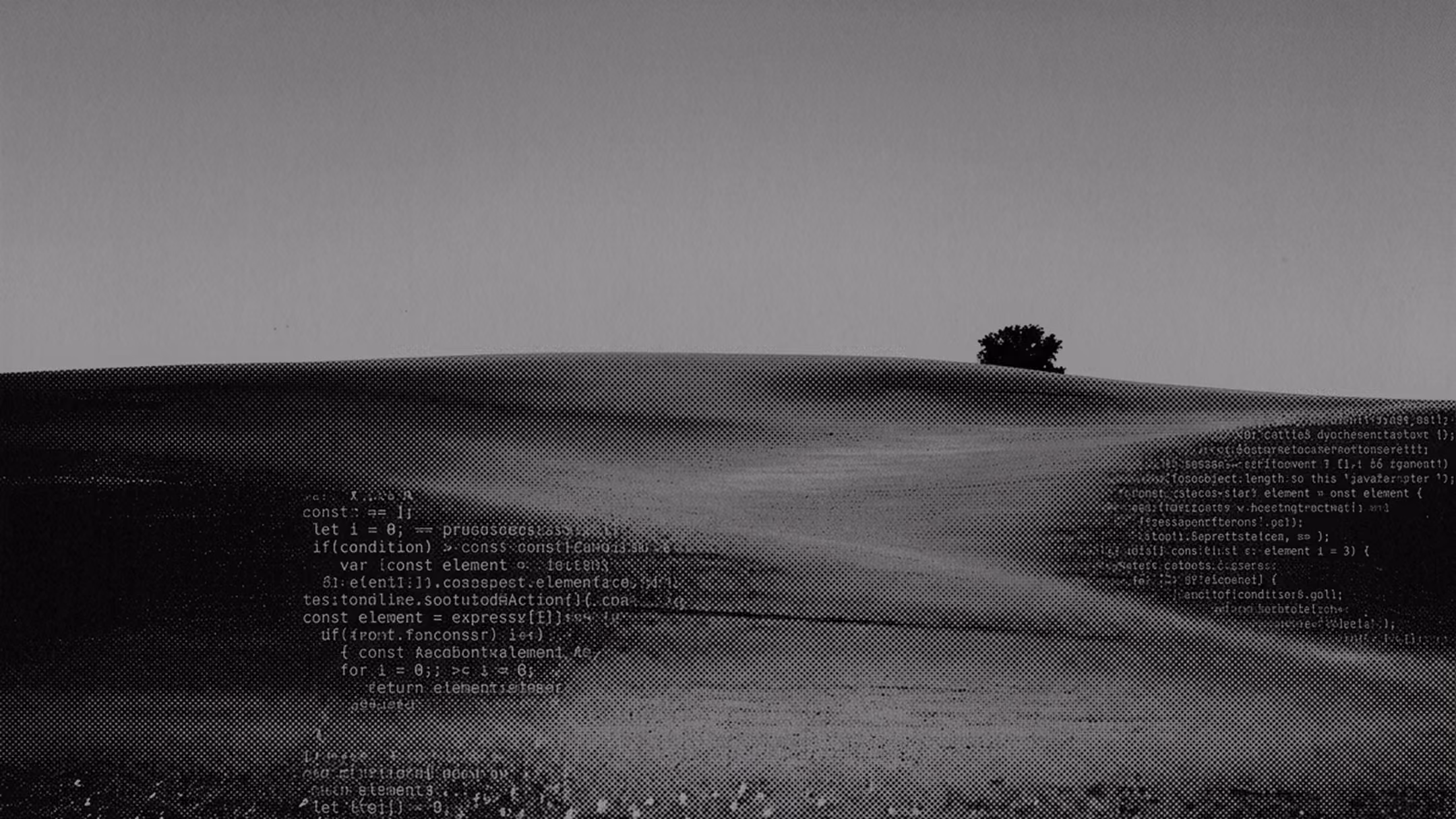 Rolling fields with a single tree in black and white, where Burgundy builds websites: Webflow and Shopify
