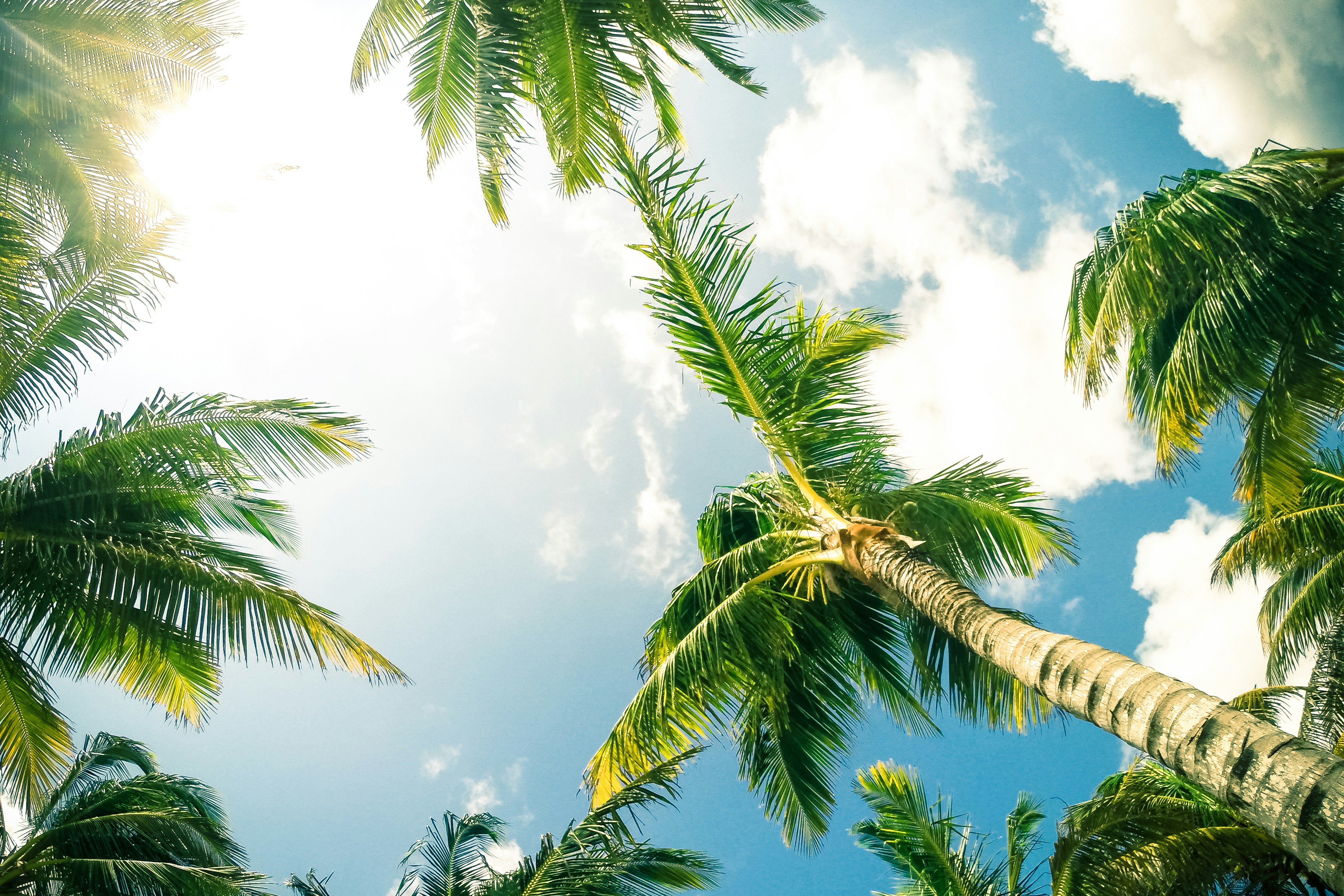 Summer health tips from Personal Physician Care