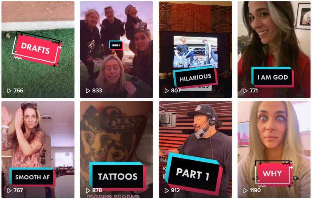 Denise Borders TikTok channel | Punk World Views