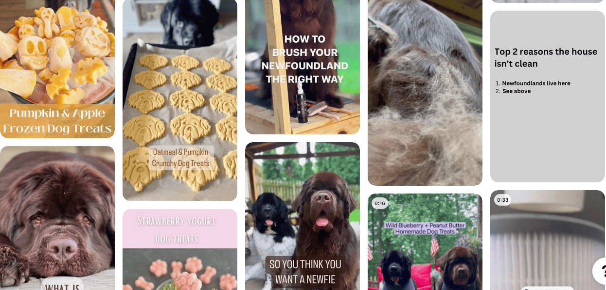 Jennifer Costello | Baking and dogs | Pinterest influencers