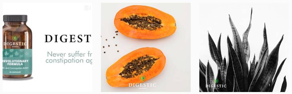 Digestic Health | Top Brands on Afluencer