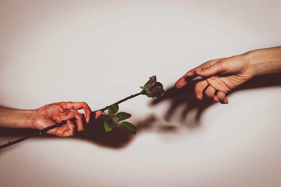 Blog Image