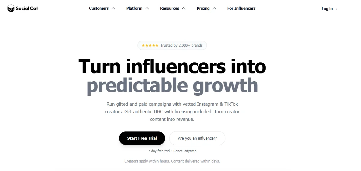Social Cat Overview - 10 best Heepsy Alternatives