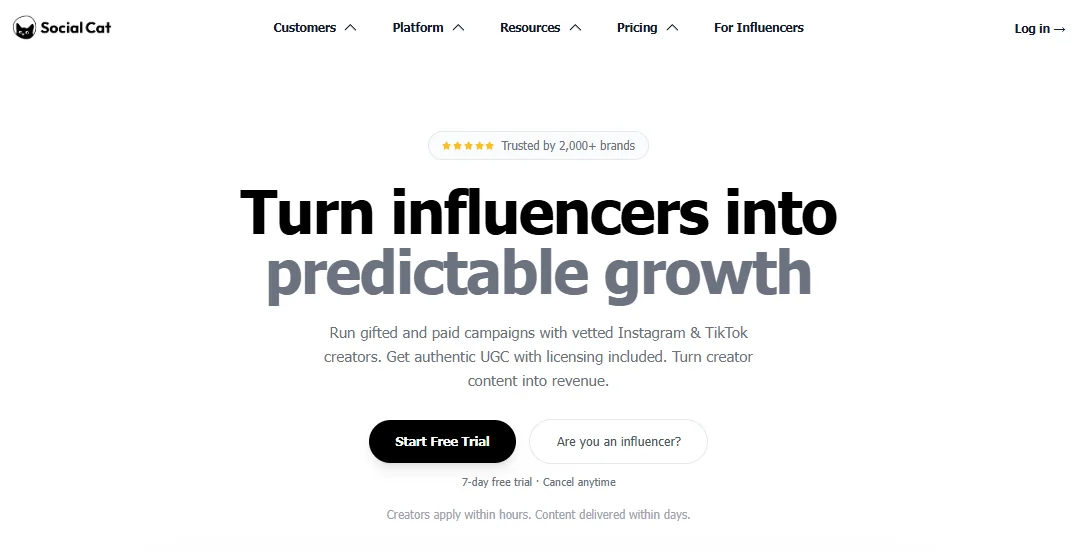 Social Cat Influencer Marketplace