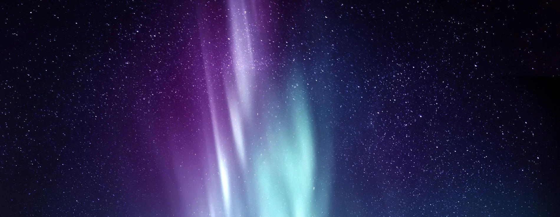 Purple And Blue Aurora Borealis in a Starry Sky in Iceland.