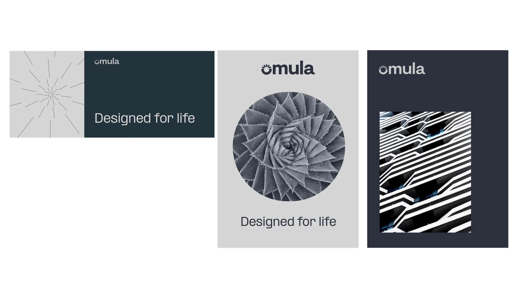 Three Omula brand pieces: a banner reading Designed for life beside a line-burst pattern, a stone grey poster with a spiral succulent and the line Designed for life, and a lead grey poster framing a striped modern facade