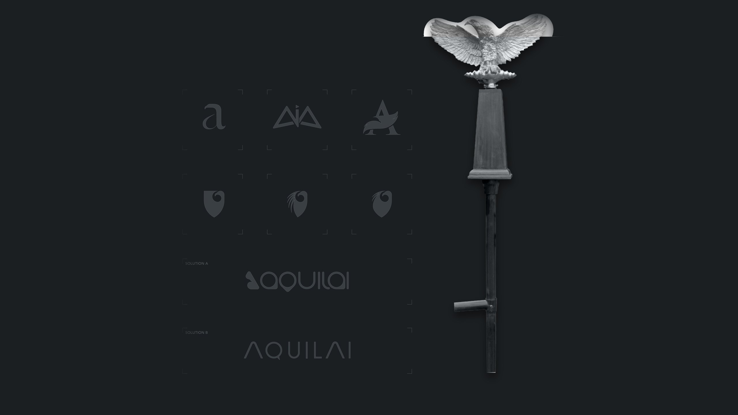 Early Aquilai logo concepts on charcoal, including letterform marks, shield marks and two wordmark options, beside a silver Roman eagle standard
