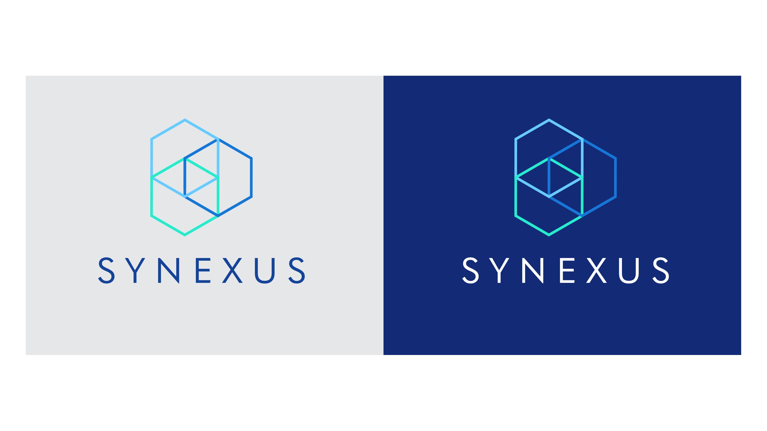 The Synexus logo, a cube of overlapping blue and turquoise hexagons above the SYNEXUS wordmark, shown in blue on pale grey and in white on deep navy