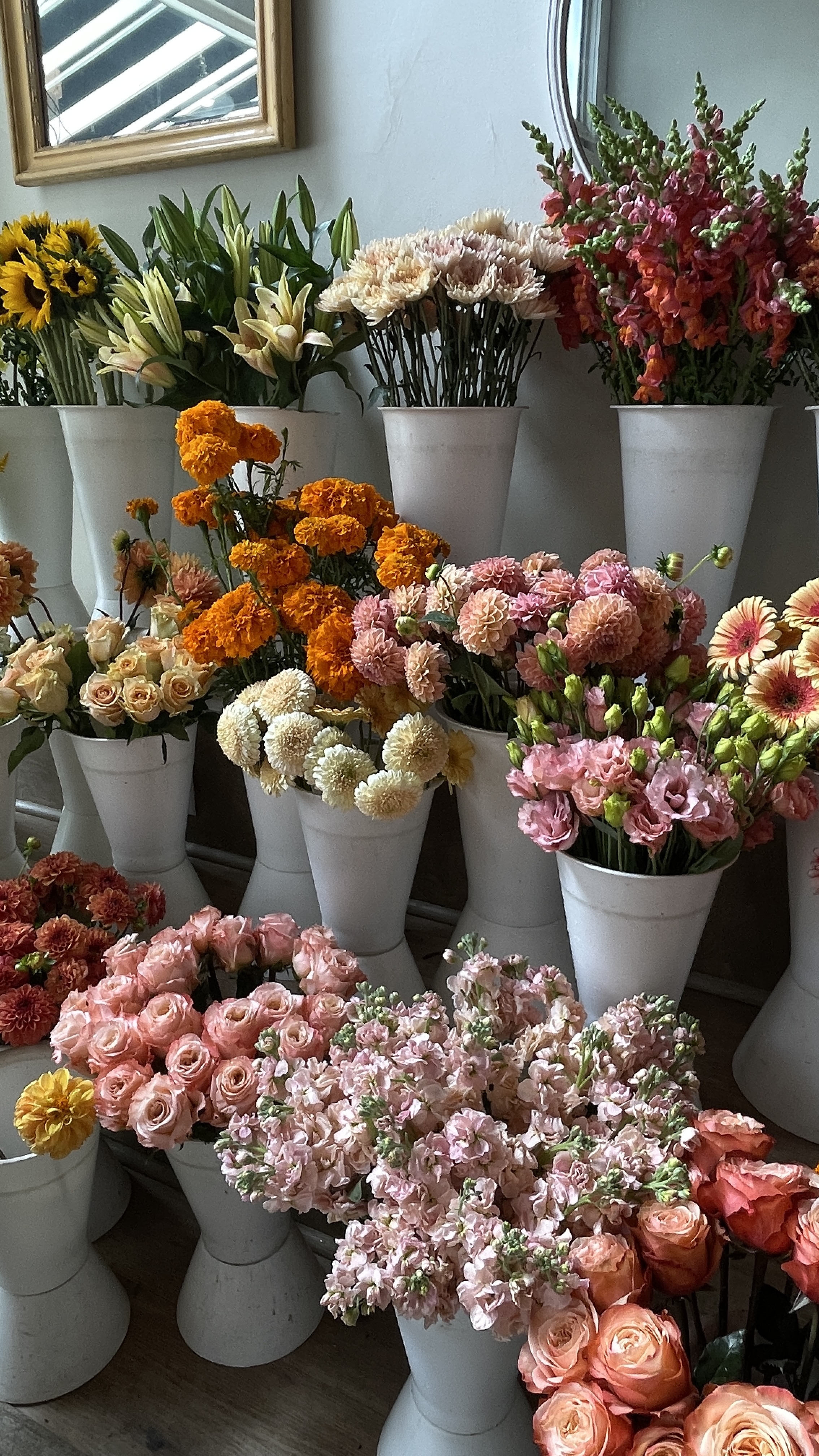 Flower stock image