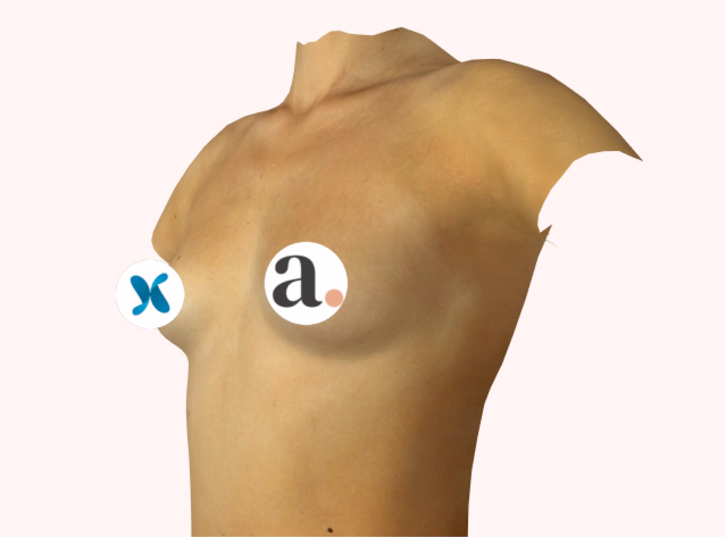 A 3D rendered female torso mannequin used to illustrate breast implant sizing, with two circular logo badges overlaid: a teal 'X' icon (Allergan or similar brand) on the left breast and a serif lowercase 'a.' wordmark with an orange dot (Appointment or