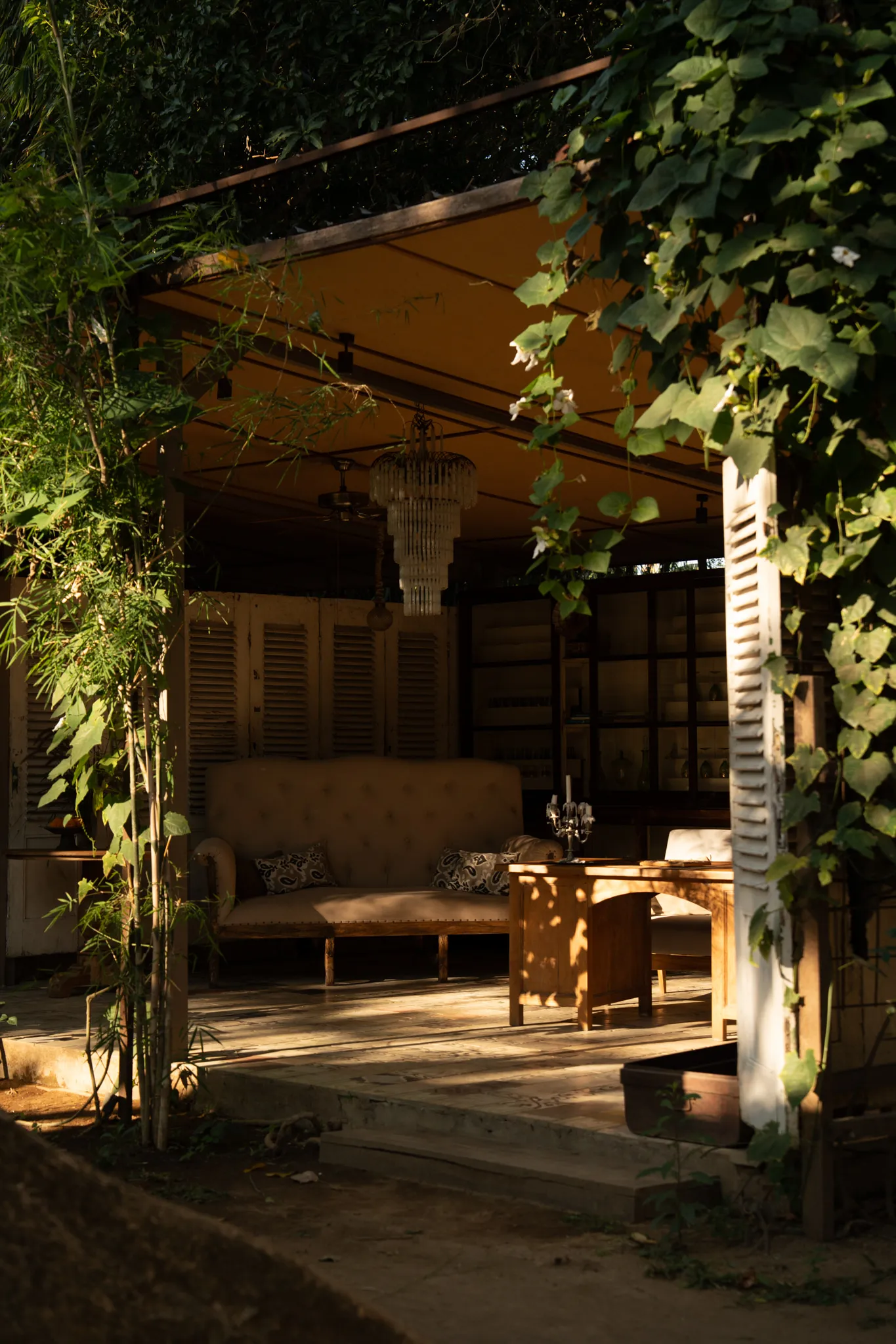 An open-air tropical wellness sanctuary featuring vintage furniture, warm sunlight, and lush green vines