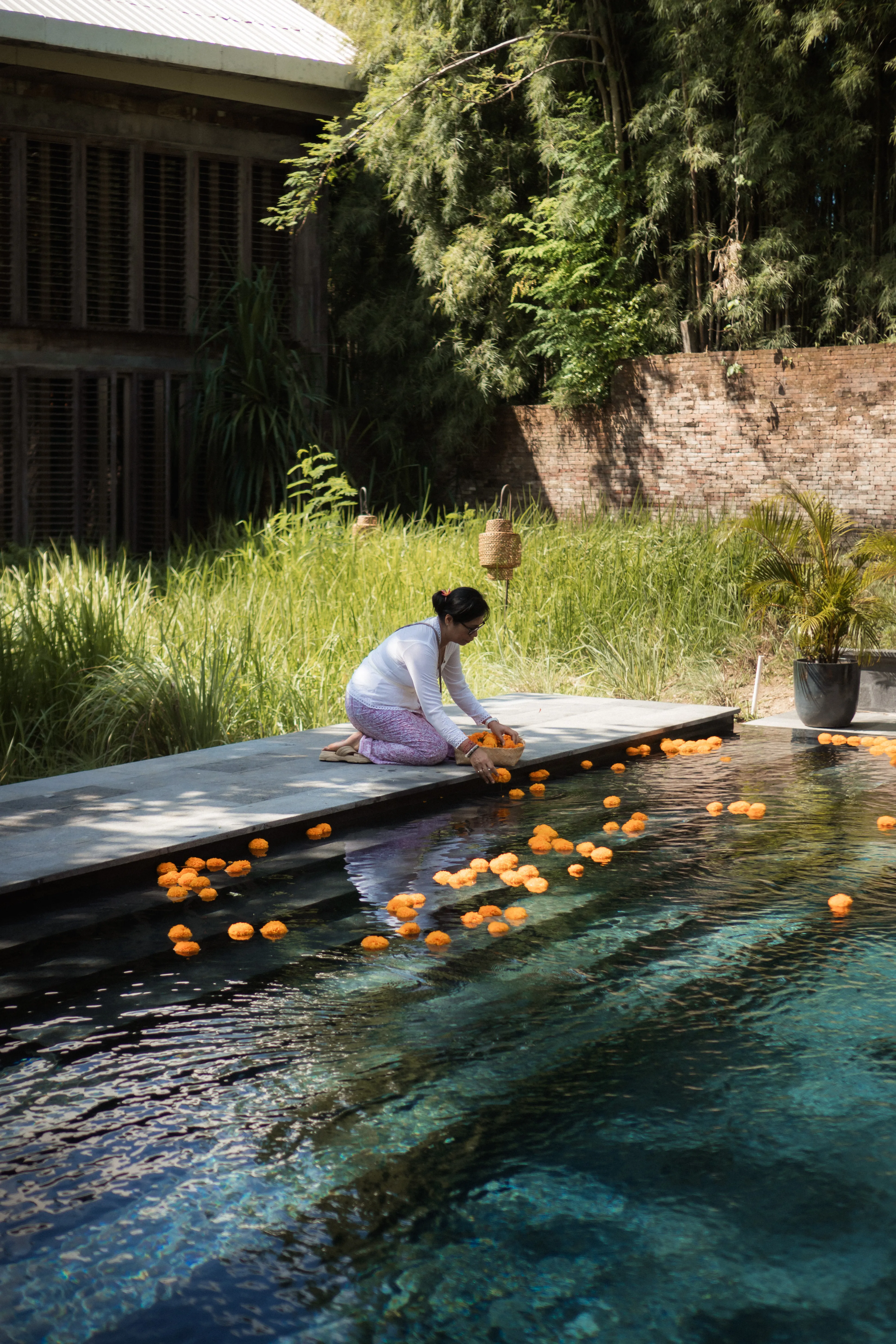 A Balinese woman placing vibrant orange marigold flowers into a pool during a Melukat ritual preparation.