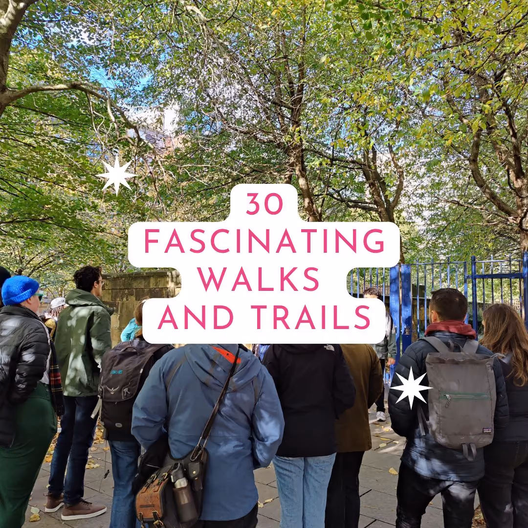 Group of people walking along a tree-lined path during an outdoor guided walk or tour.