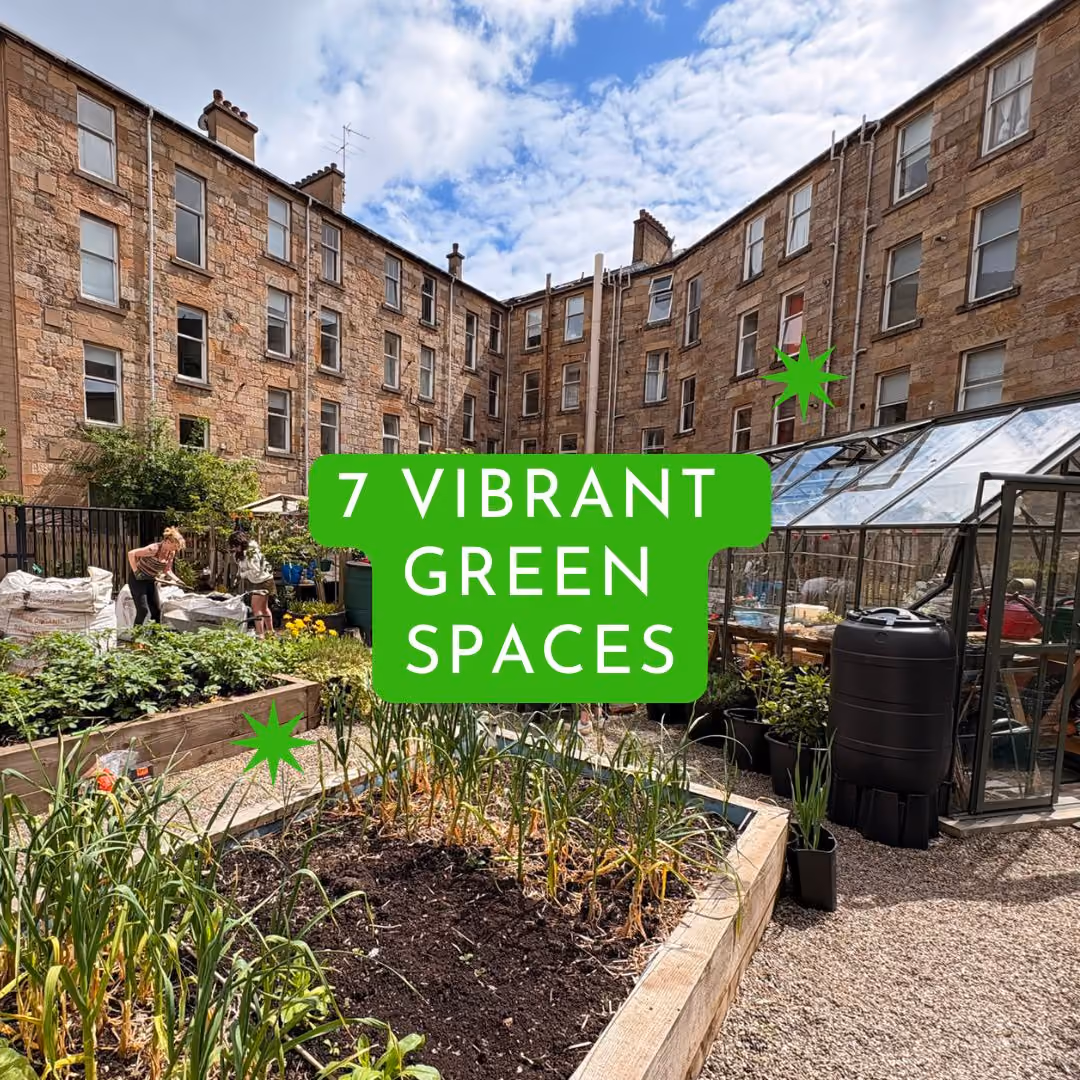 Community garden with greenhouse surrounded by historic stone buildings