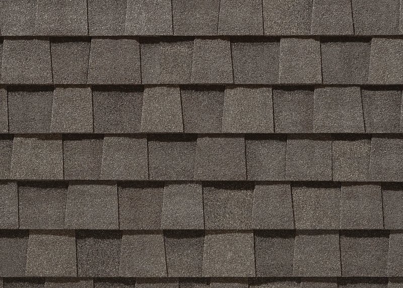 CertainTeed Landmark Driftwood shingle color swatch
