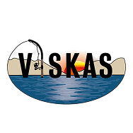 Viskas
