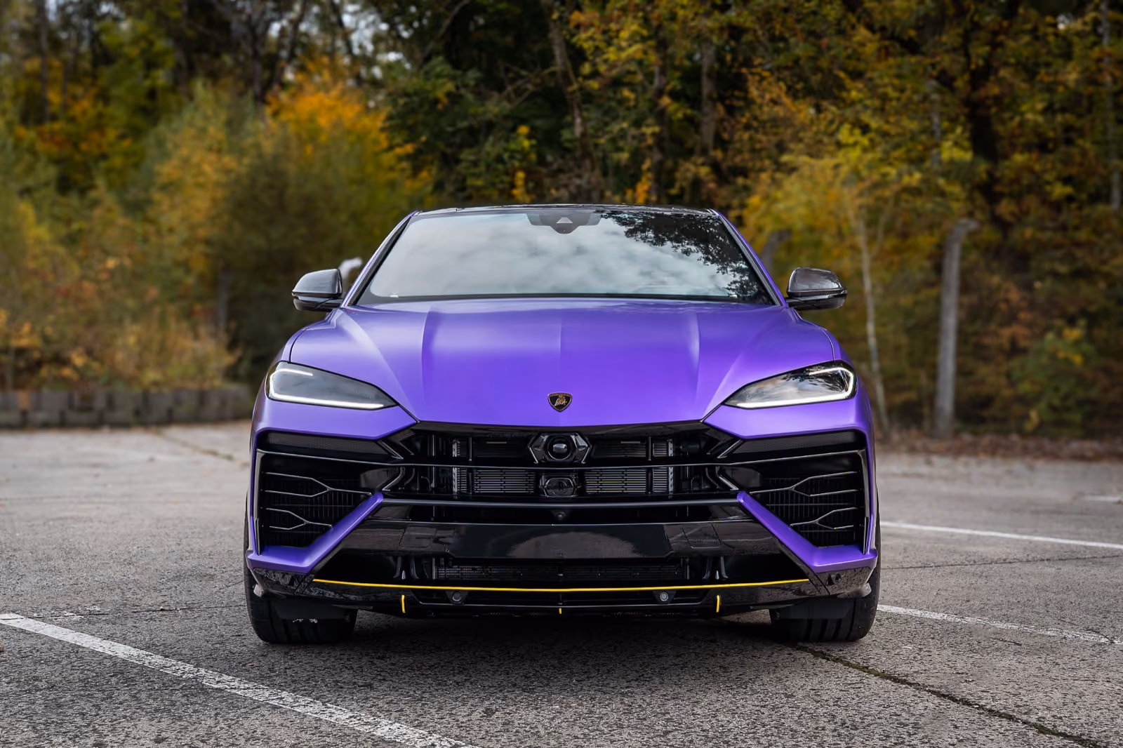 Lamborghini Urus in Mattviolett foliert, Frontansicht vor herbstlicher Kulisse