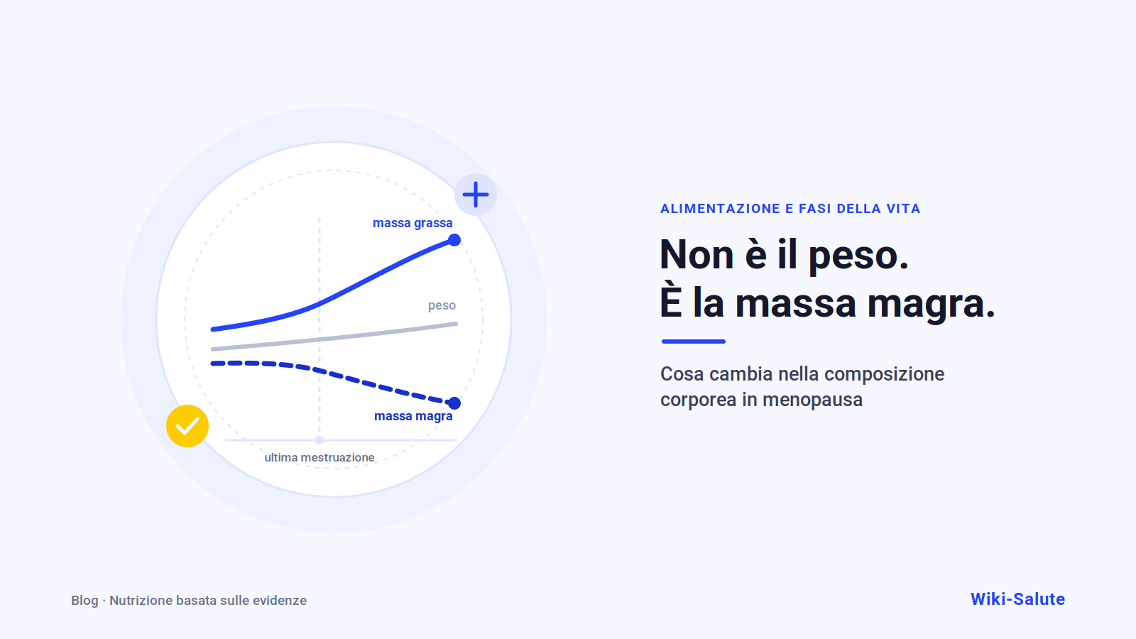 Menopausa: perché il problema non è (solo) il peso, ma la massa magra