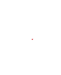 Texte stylisé « what's next » avec deux flèches pointant vers la droite sur fond noir.