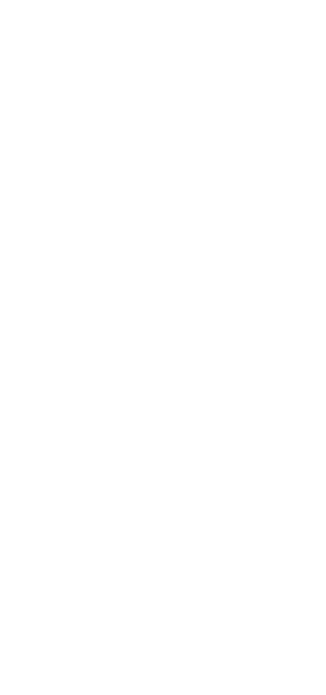 Icon arrow