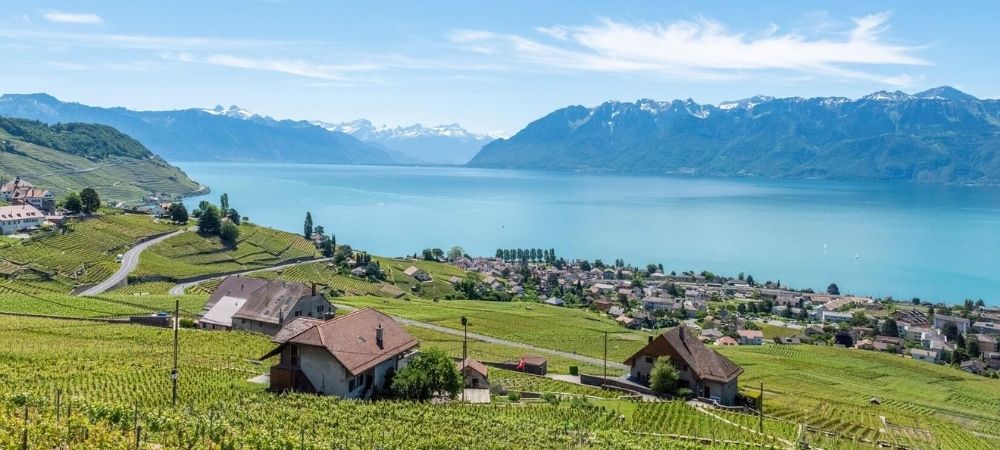 lavaux