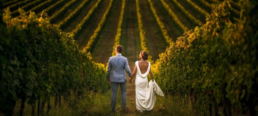 vineyard