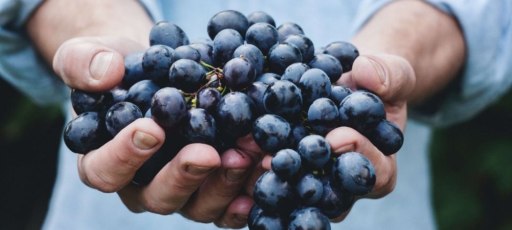 grapes