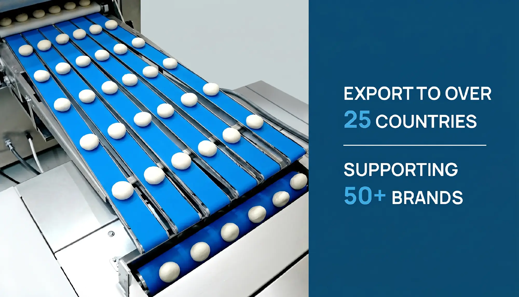 Dough balls arranged on blue conveyor belts in a bakery production line.