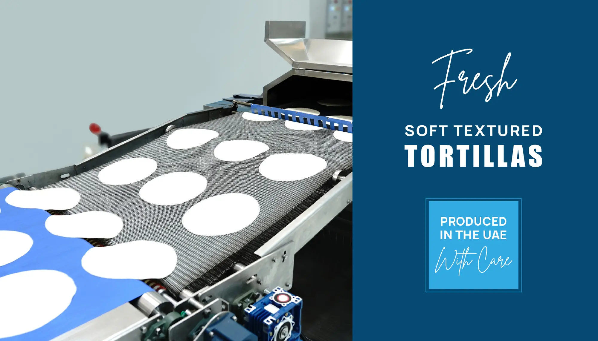 Flat tortillas on conveyor belt in a food processing machine for fresh soft textured tortillas.