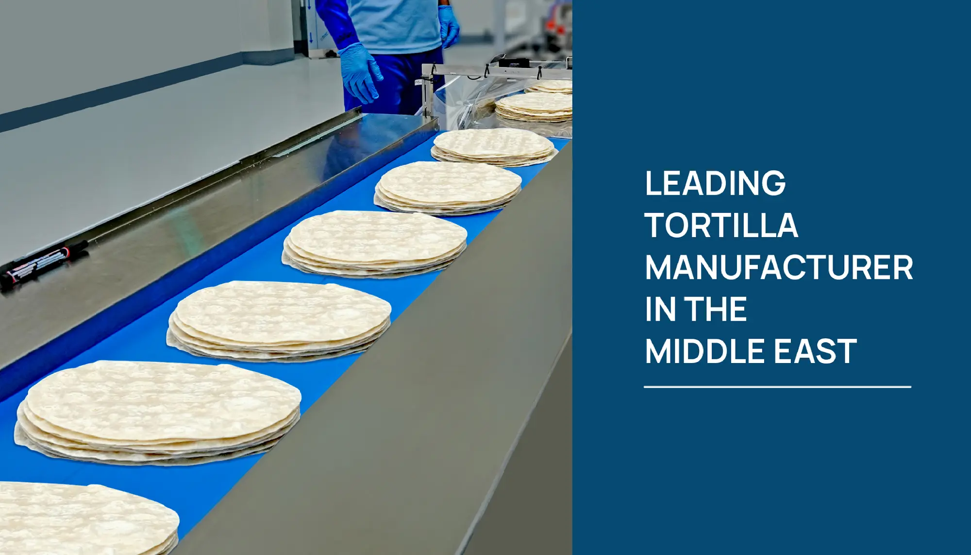 Stacks of tortillas on a conveyor belt in a factory with a worker wearing blue gloves.