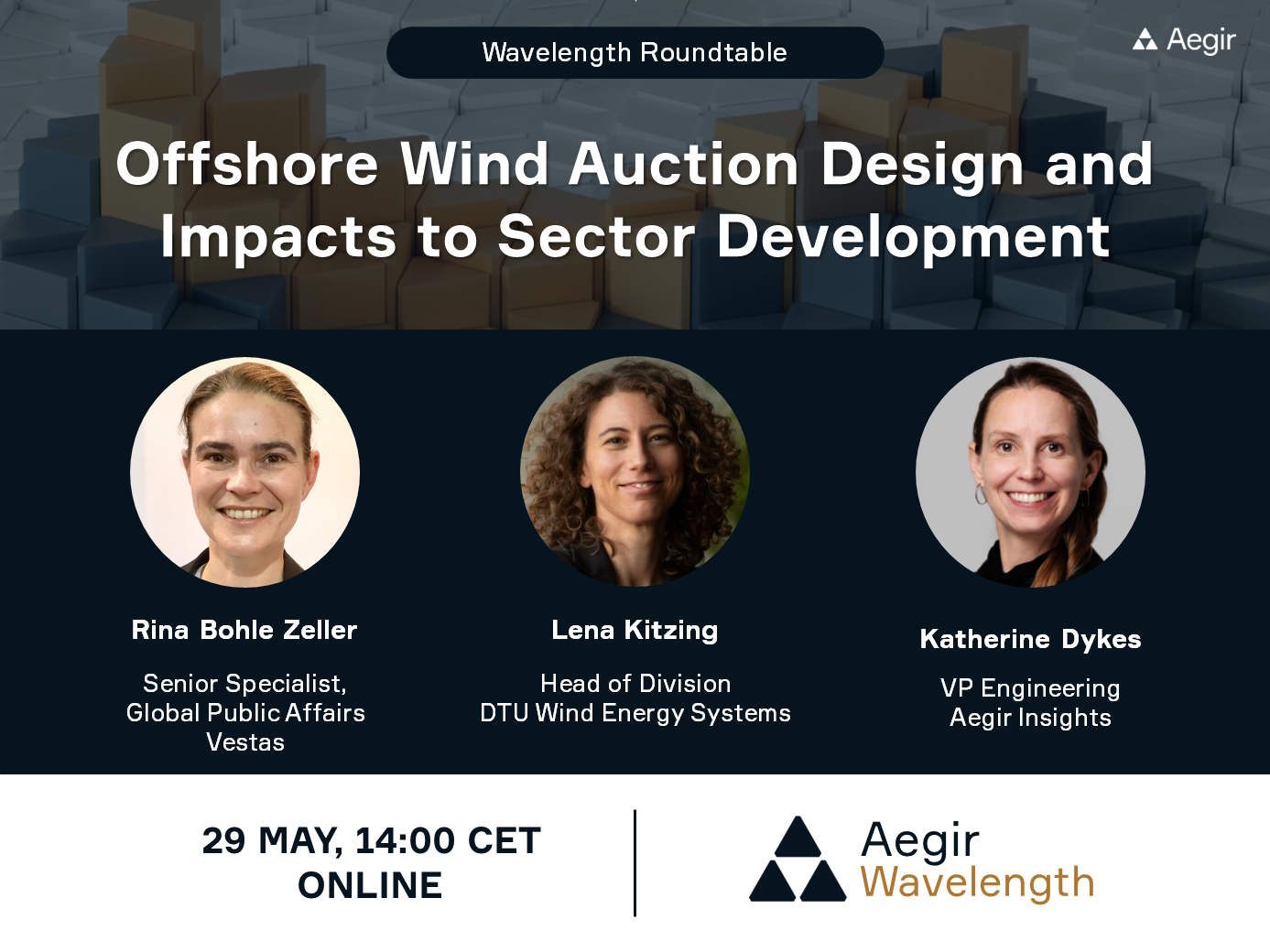 Advertisement for Aegir Insights' upcoming Wavelength Roundtable on Offshore wind auction design and impacts on sector development