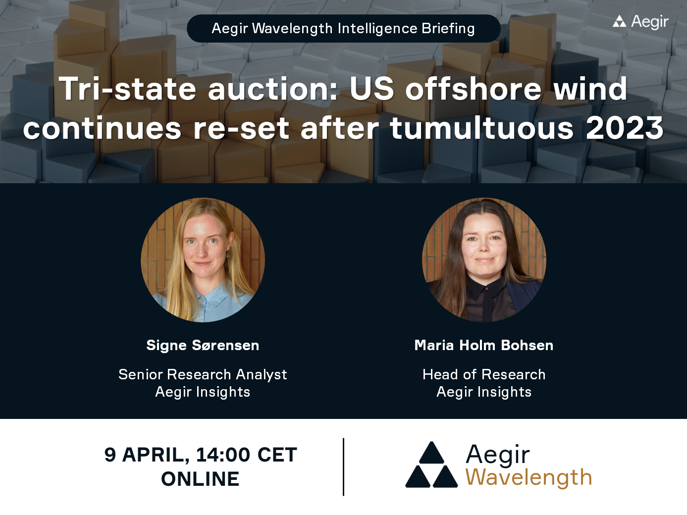 Advertisement for Aegir Insights' next Wavelength Intelligence Briefing on: 'Tri-state auction: US offshore wind continues re-set after tumultuous 2023'.