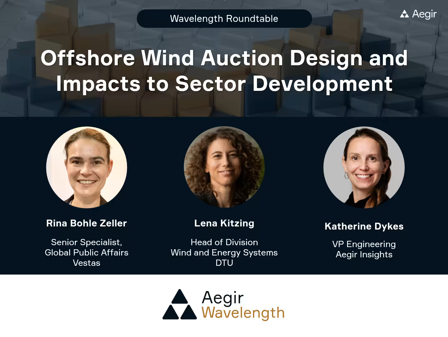 Summary of Aegir Insights' Wavelength Roundtable on offshore wind auction design and impacts on sector development