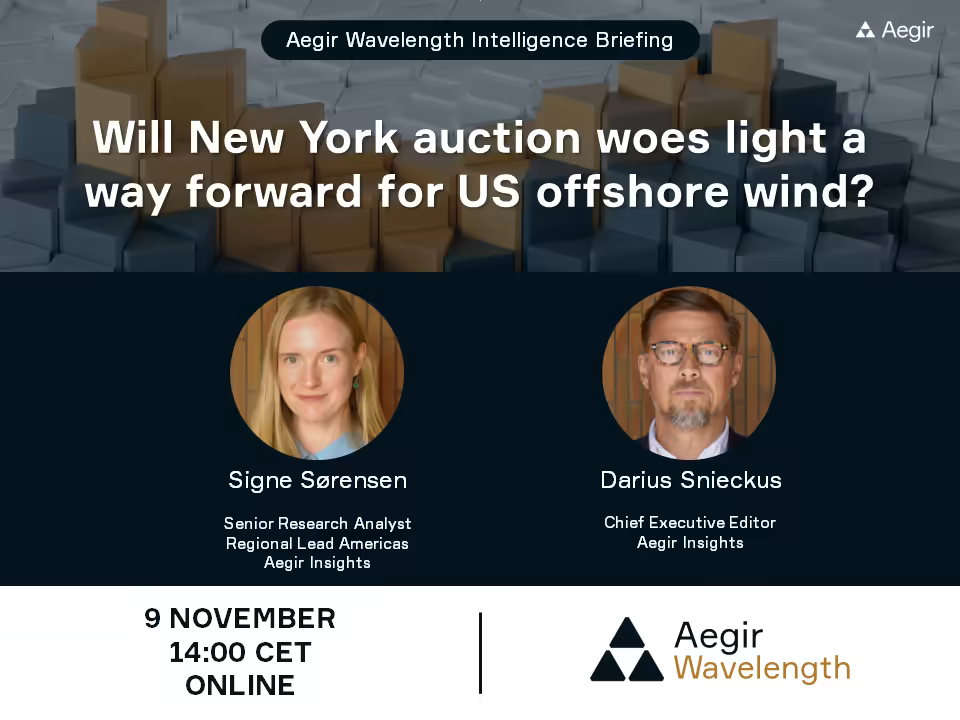 Advertisement for Aegir Insights next Wavelength Intelligence Briefing on: "Will New York auction woes light a way forward for US offshore wind?" with Senior Research Analyst Signe Sørensen and Chief Executive Editor Darius Snieckus