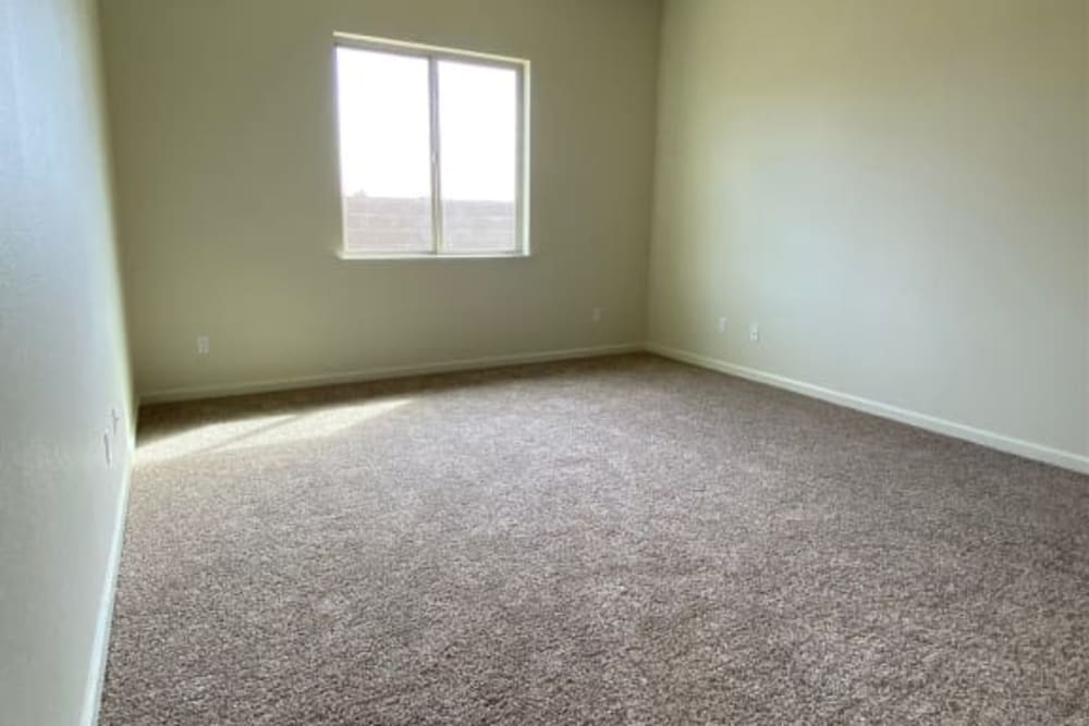 Unfurnished bedroom with carpet and large window