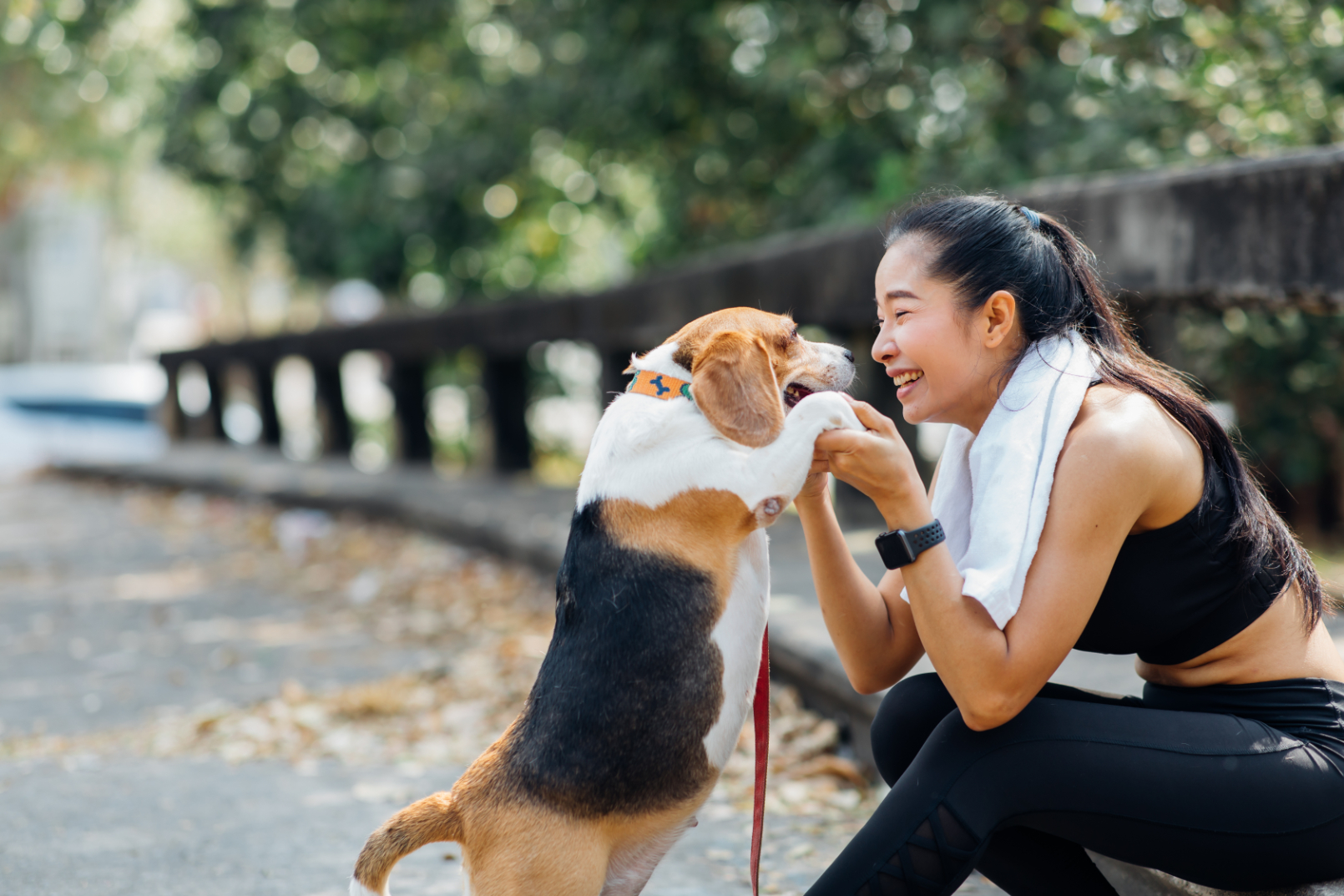 Woman with dog stock image