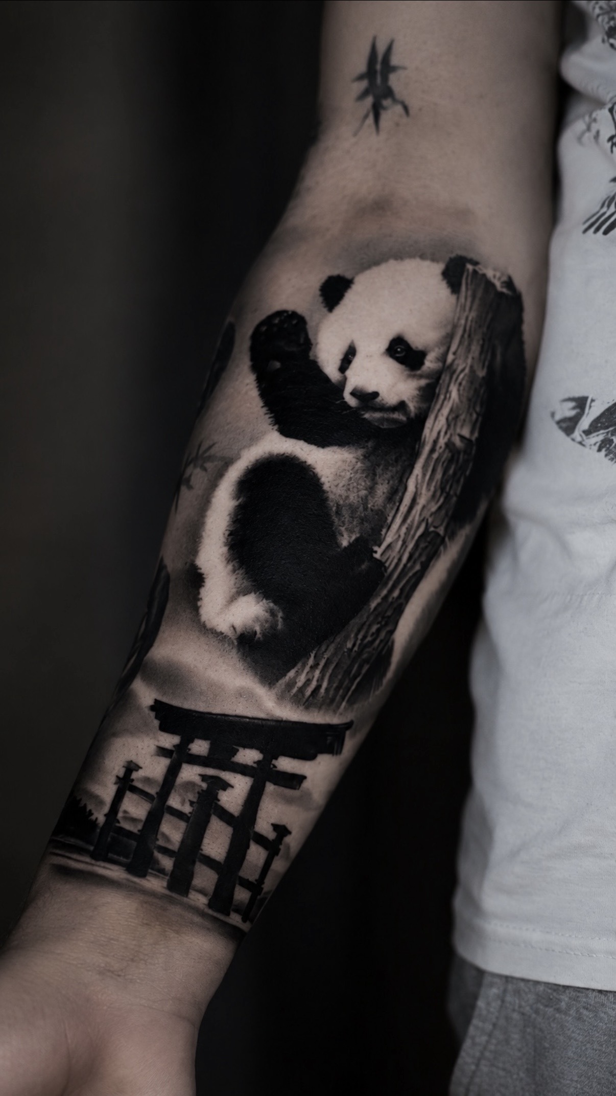 Panda