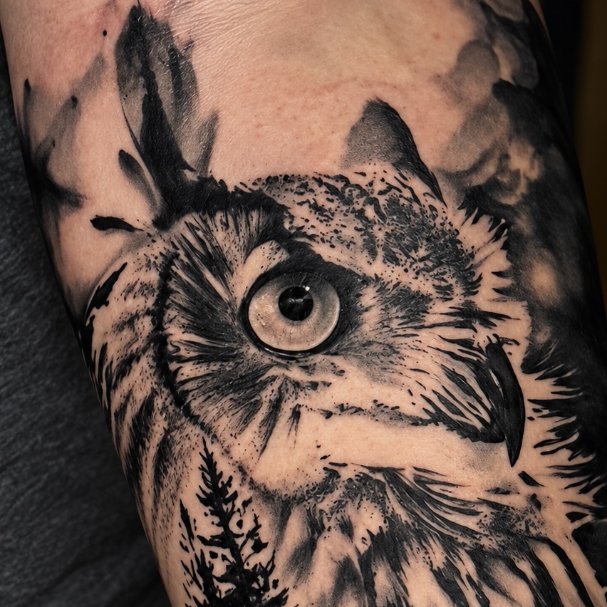 Tatouage de petit-duc — détail du visage et de l'œil